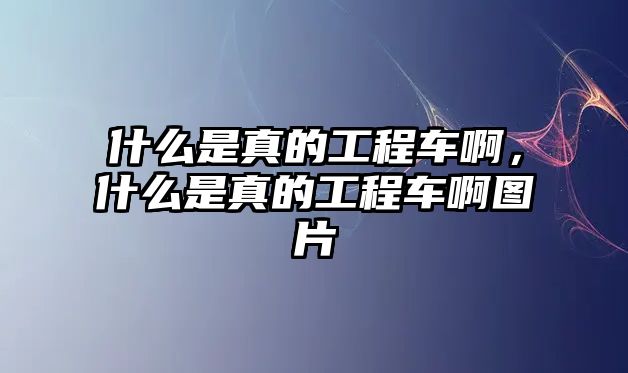 什么是真的工程車啊，什么是真的工程車啊圖片