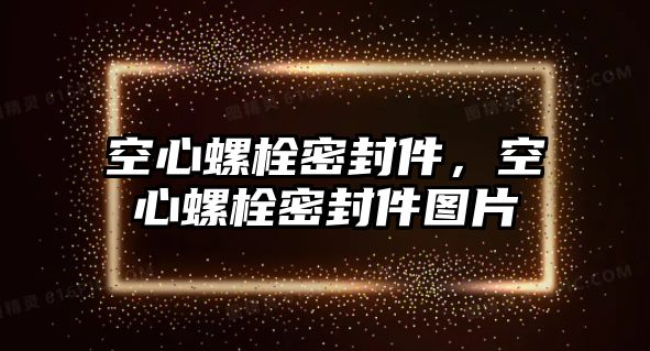 空心螺栓密封件，空心螺栓密封件圖片