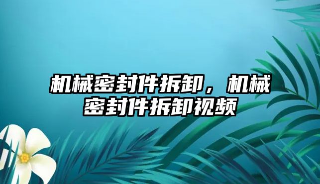 機械密封件拆卸，機械密封件拆卸視頻