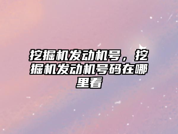 挖掘機發(fā)動機號，挖掘機發(fā)動機號碼在哪里看