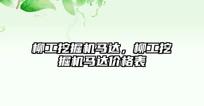 柳工挖掘機馬達，柳工挖掘機馬達價格表