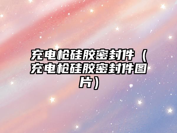 充電槍硅膠密封件（充電槍硅膠密封件圖片）