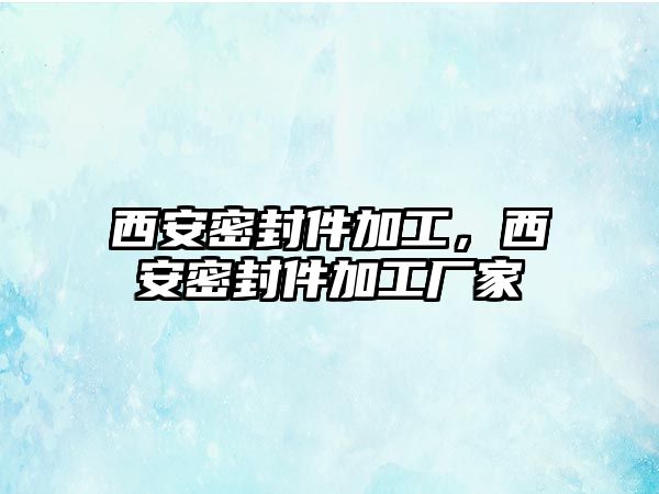 西安密封件加工，西安密封件加工廠家