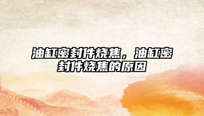 油缸密封件燒焦，油缸密封件燒焦的原因