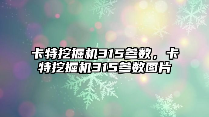 卡特挖掘機315參數(shù)，卡特挖掘機315參數(shù)圖片