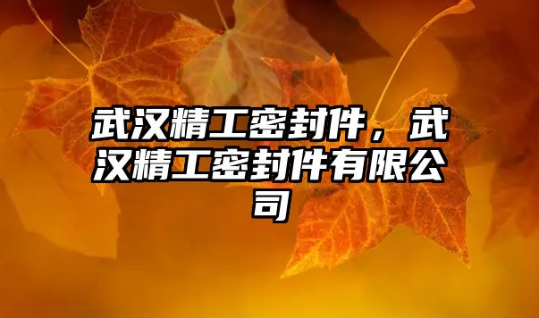 武漢精工密封件，武漢精工密封件有限公司