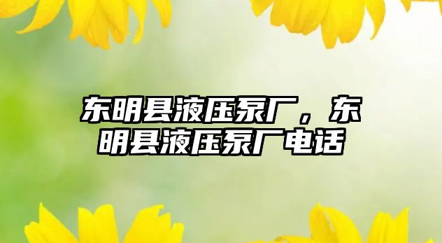 東明縣液壓泵廠，東明縣液壓泵廠電話