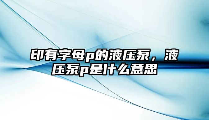 印有字母p的液壓泵，液壓泵p是什么意思