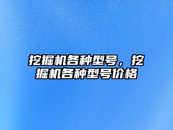 挖掘機各種型號，挖掘機各種型號價格