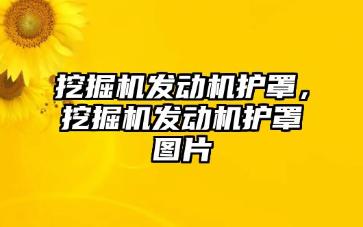 挖掘機發(fā)動機護罩，挖掘機發(fā)動機護罩圖片