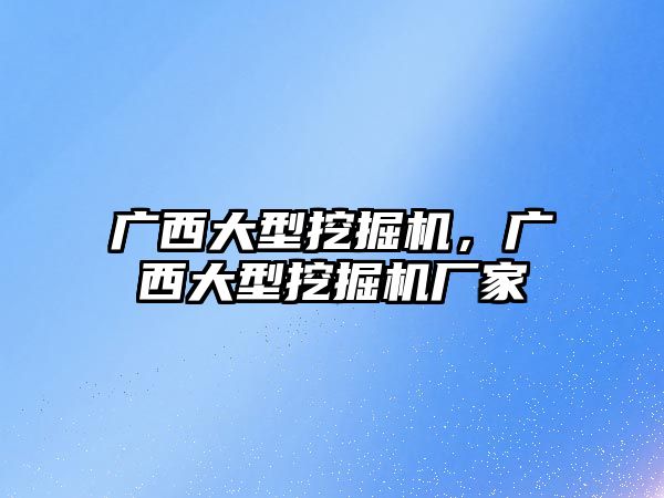 廣西大型挖掘機，廣西大型挖掘機廠家