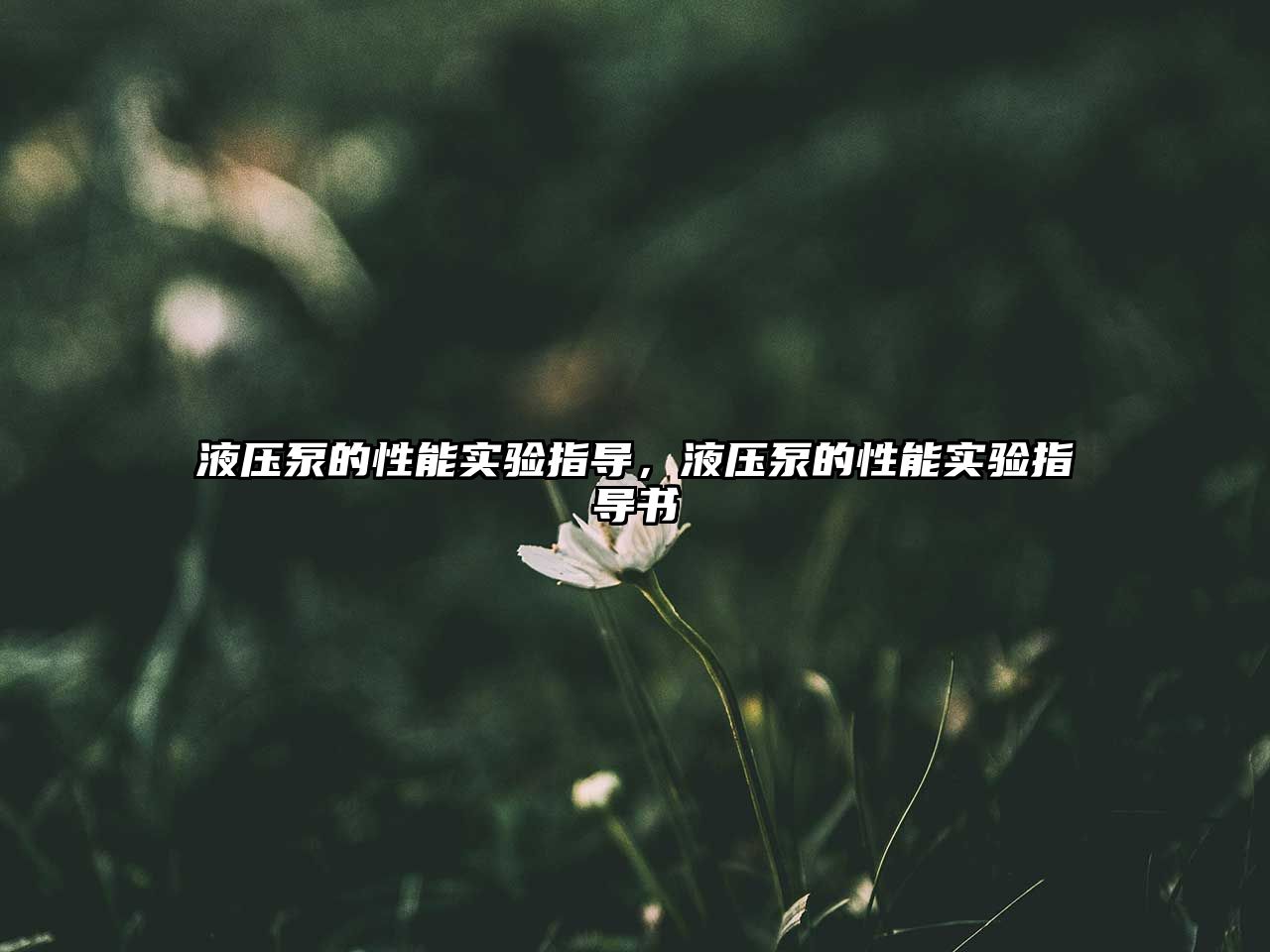 液壓泵的性能實驗指導(dǎo)，液壓泵的性能實驗指導(dǎo)書