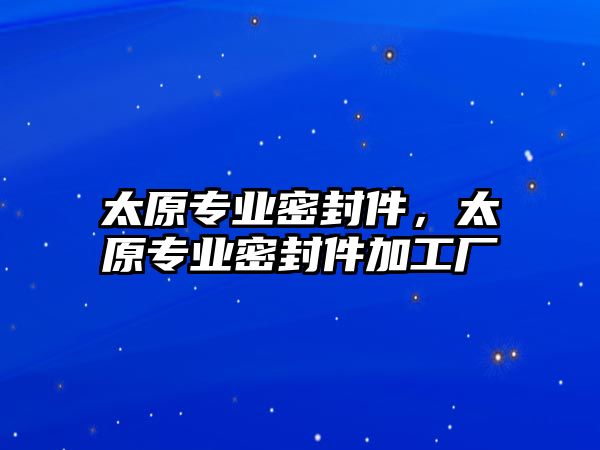 太原專業(yè)密封件，太原專業(yè)密封件加工廠