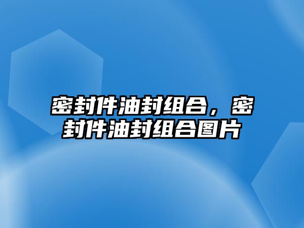 密封件油封組合，密封件油封組合圖片