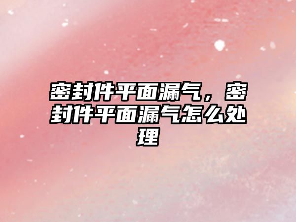 密封件平面漏氣，密封件平面漏氣怎么處理