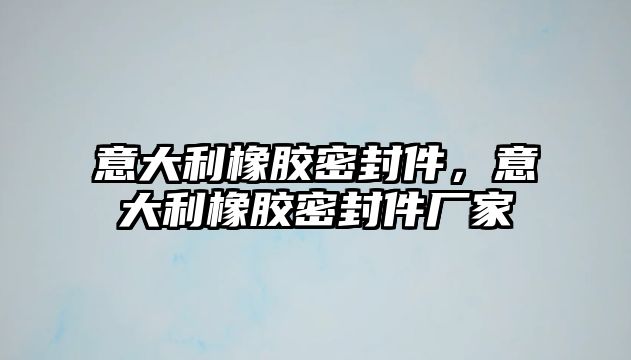 意大利橡膠密封件，意大利橡膠密封件廠家