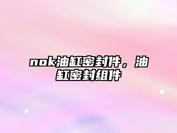 nok油缸密封件，油缸密封組件