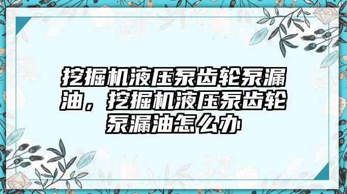 挖掘機液壓泵齒輪泵漏油，挖掘機液壓泵齒輪泵漏油怎么辦