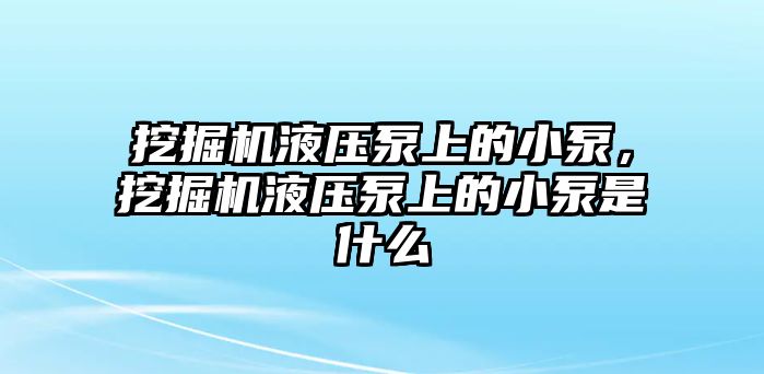 挖掘機(jī)液壓泵上的小泵，挖掘機(jī)液壓泵上的小泵是什么