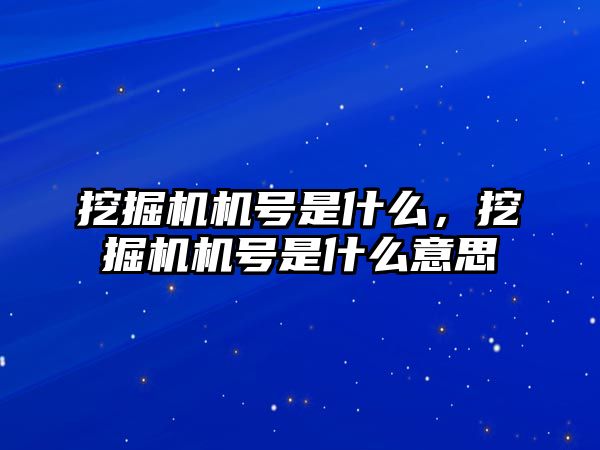 挖掘機機號是什么，挖掘機機號是什么意思