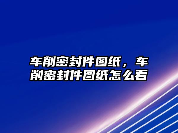 車削密封件圖紙，車削密封件圖紙怎么看