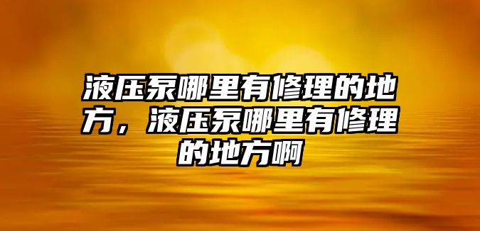 液壓泵哪里有修理的地方，液壓泵哪里有修理的地方啊