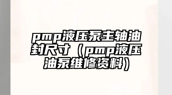 pmp液壓泵主軸油封尺寸（pmp液壓油泵維修資料）