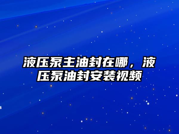 液壓泵主油封在哪，液壓泵油封安裝視頻