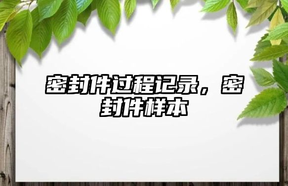 密封件過程記錄，密封件樣本