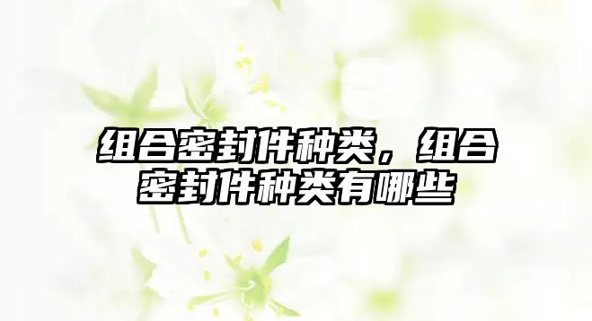 組合密封件種類，組合密封件種類有哪些