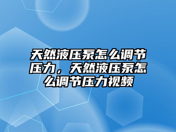 天然液壓泵怎么調(diào)節(jié)壓力，天然液壓泵怎么調(diào)節(jié)壓力視頻