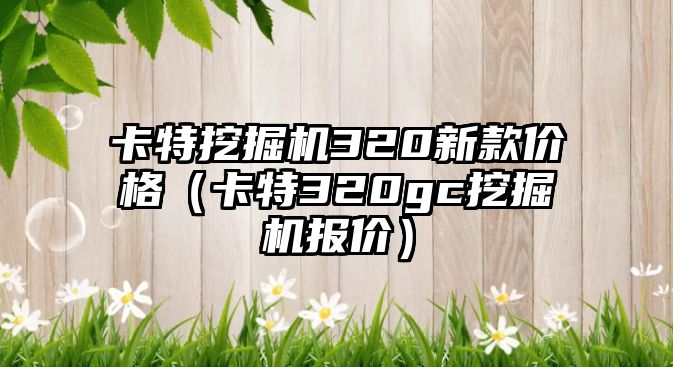 卡特挖掘機(jī)320新款價(jià)格（卡特320gc挖掘機(jī)報(bào)價(jià)）