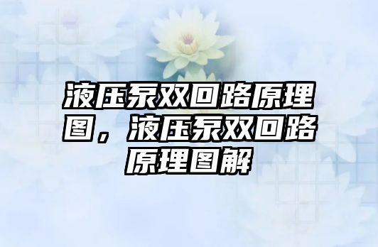 液壓泵雙回路原理圖，液壓泵雙回路原理圖解