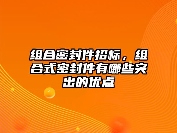 組合密封件招標(biāo)，組合式密封件有哪些突出的優(yōu)點(diǎn)