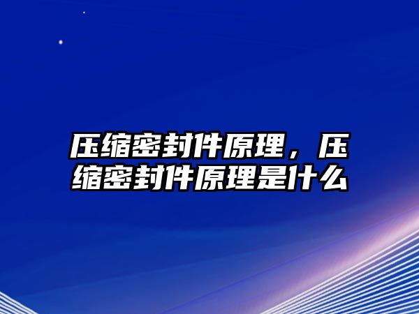 壓縮密封件原理，壓縮密封件原理是什么