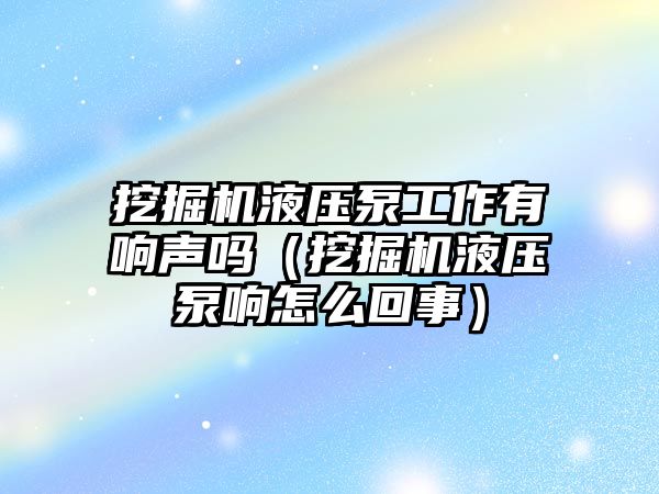 挖掘機(jī)液壓泵工作有響聲嗎（挖掘機(jī)液壓泵響怎么回事）