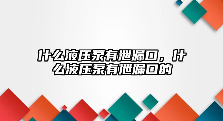 什么液壓泵有泄漏口，什么液壓泵有泄漏口的