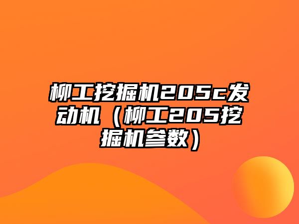 柳工挖掘機(jī)205c發(fā)動機(jī)（柳工205挖掘機(jī)參數(shù)）