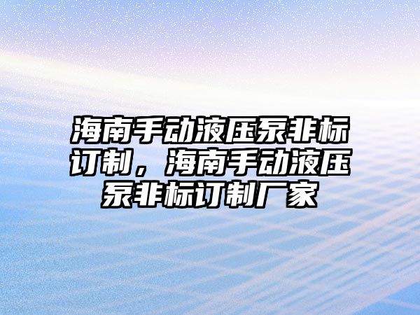 海南手動液壓泵非標(biāo)訂制，海南手動液壓泵非標(biāo)訂制廠家