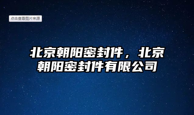 北京朝陽密封件，北京朝陽密封件有限公司