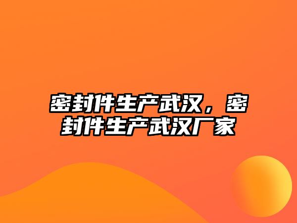 密封件生產(chǎn)武漢，密封件生產(chǎn)武漢廠家