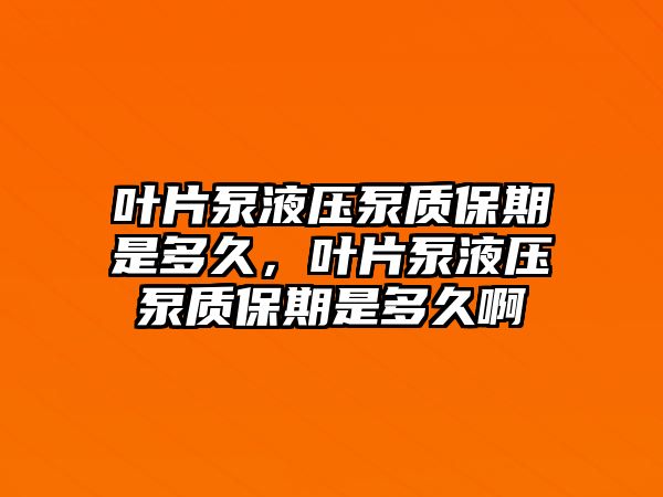 葉片泵液壓泵質(zhì)保期是多久，葉片泵液壓泵質(zhì)保期是多久啊