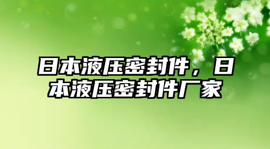 日本液壓密封件，日本液壓密封件廠家