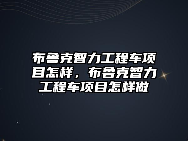 布魯克智力工程車項目怎樣，布魯克智力工程車項目怎樣做