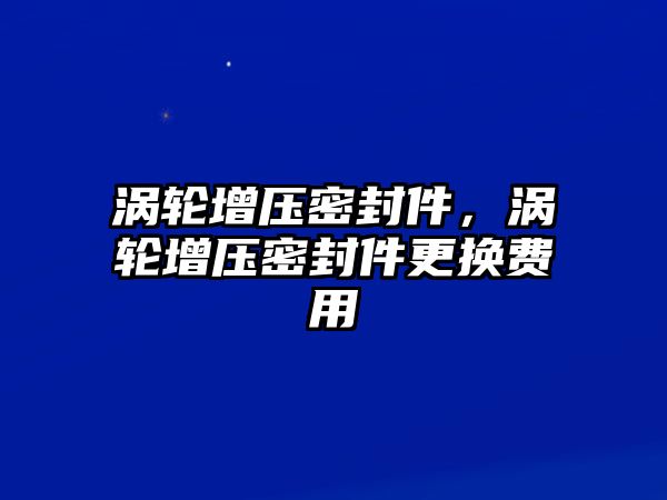 渦輪增壓密封件，渦輪增壓密封件更換費(fèi)用