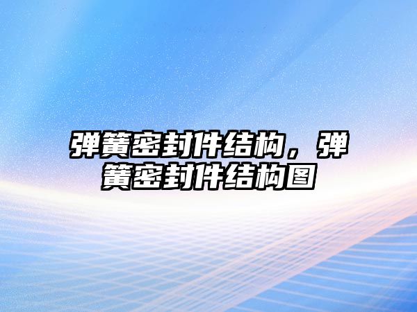 彈簧密封件結(jié)構(gòu)，彈簧密封件結(jié)構(gòu)圖