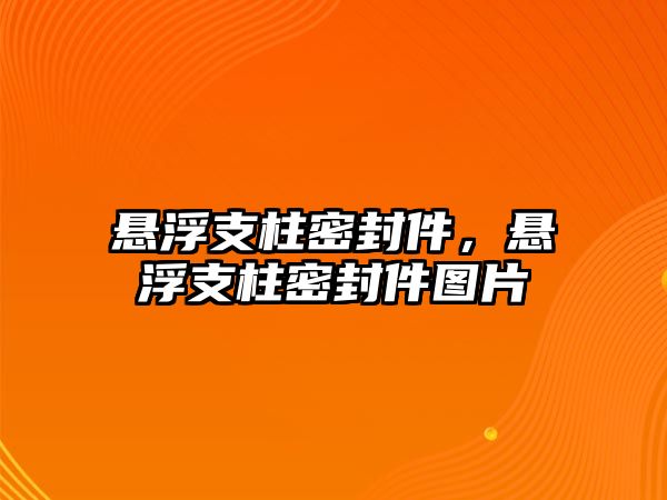 懸浮支柱密封件，懸浮支柱密封件圖片