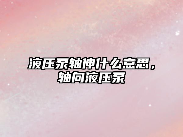 液壓泵軸伸什么意思，軸向液壓泵