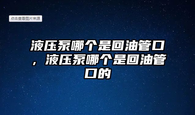 液壓泵哪個是回油管口，液壓泵哪個是回油管口的