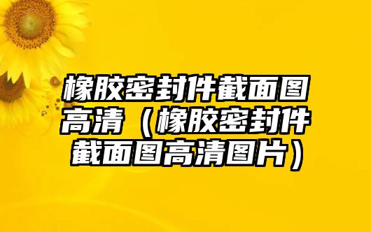 橡膠密封件截面圖高清（橡膠密封件截面圖高清圖片）